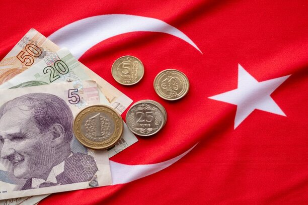 TÜRKİYE'NIN PARA BİRİMİ